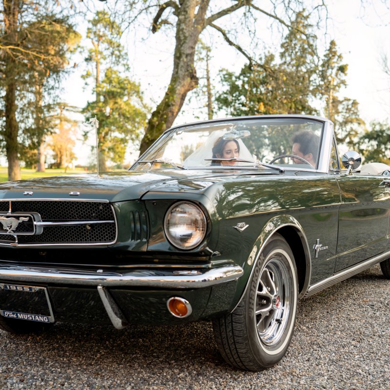 mustang 1